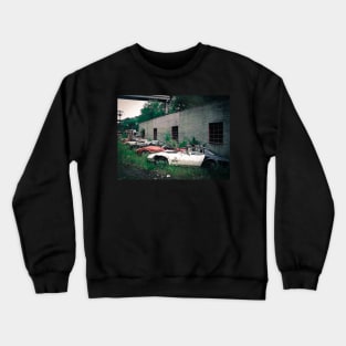 Stung Crewneck Sweatshirt